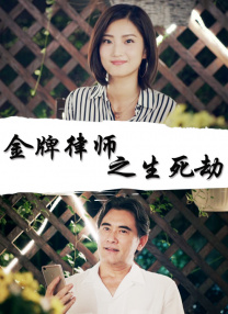 国产成人综合亚洲欧美在线n